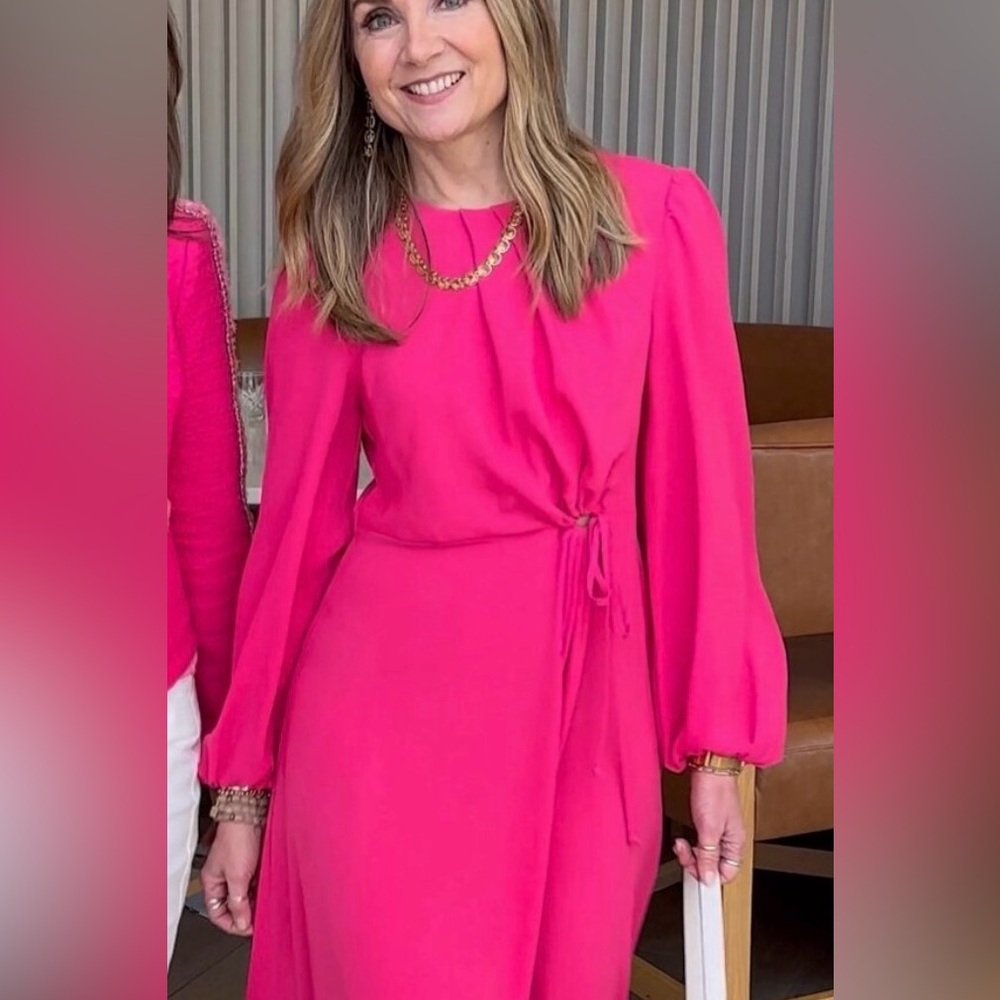 Cabi Delight Dress - Picture 8 of 15